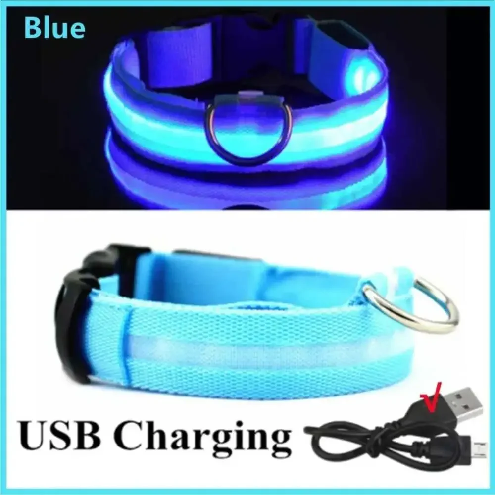 3 Modes Dog Luminous Charge Collar Led Usb Cat Dogs Collars Detachable Night Led
